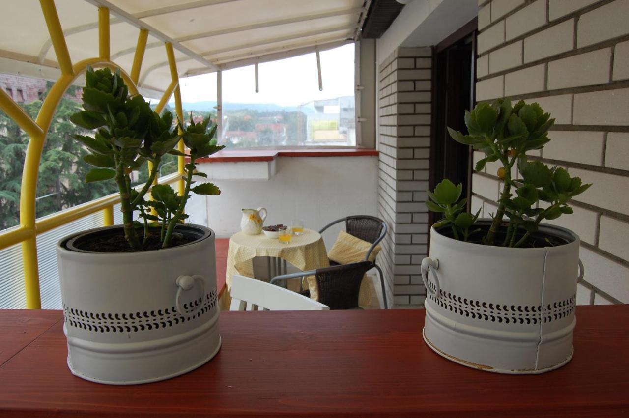 Vila Zora Apartman บันยา โควิลยาชา ภายนอก รูปภาพ